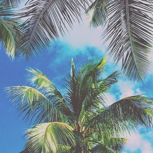 Meet your Posher, Trinity